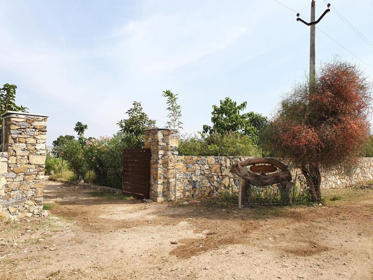 Bijapur Lodge Jawai 외부 사진